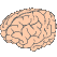 Tu Gimnasia Cerebral