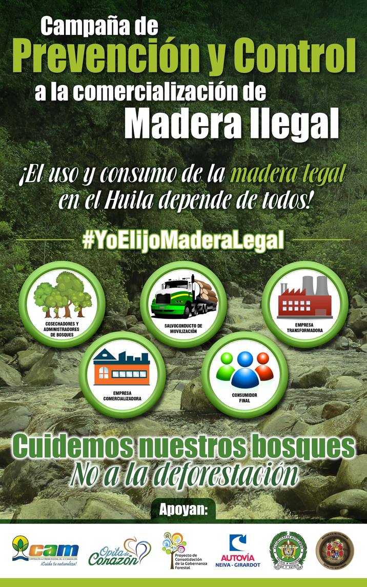 Madera ilegal