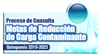 Metas de Reducción de Carga Contaminante
